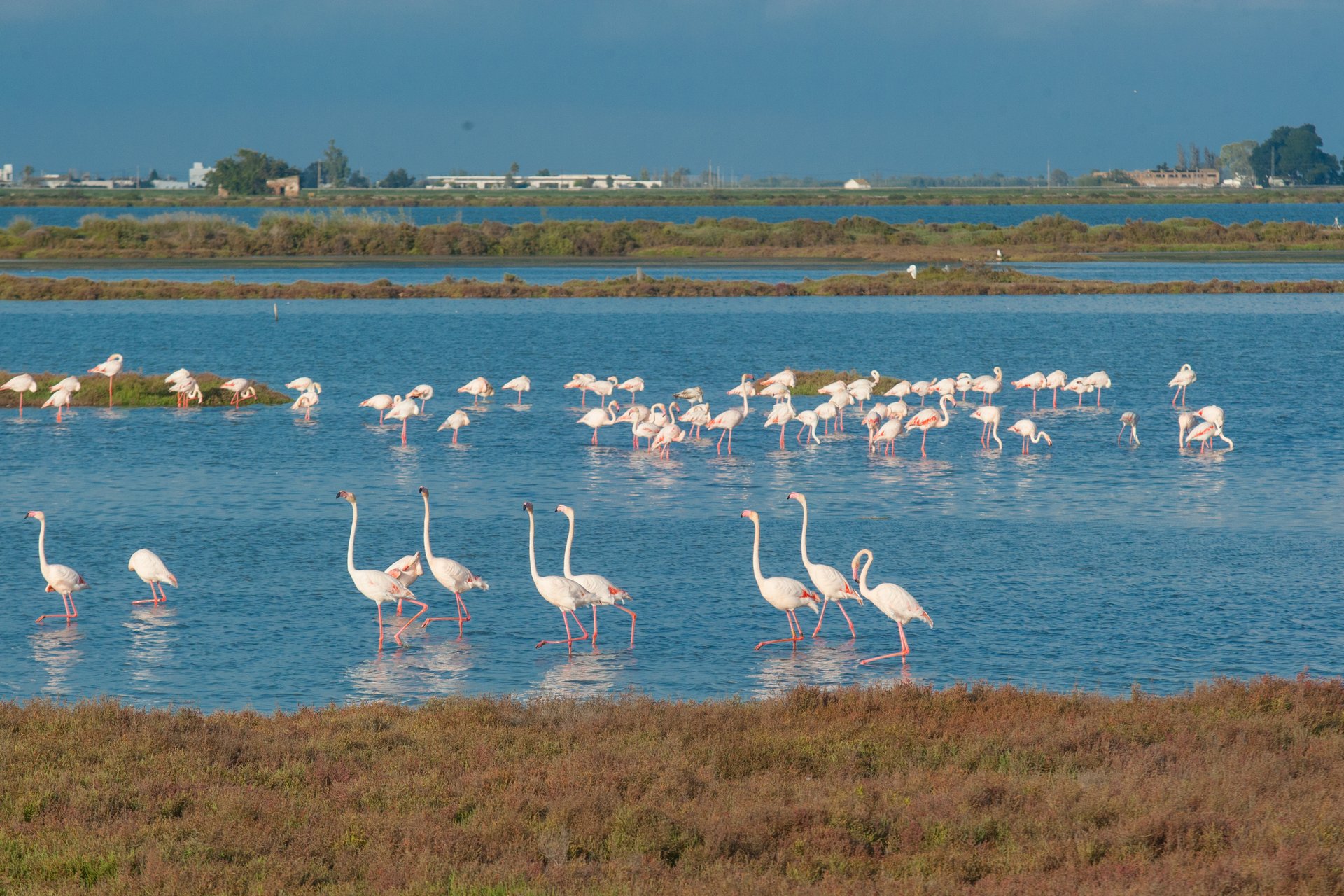 Image from 2025 IWWF Europe And Africa Championships Spain