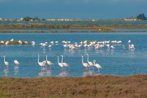 Image from 2025 IWWF Europe And Africa Championships Spain - 7 Y 7 Z 5017202510 Euros Deltebre Spainby Mark Osmond.jpg