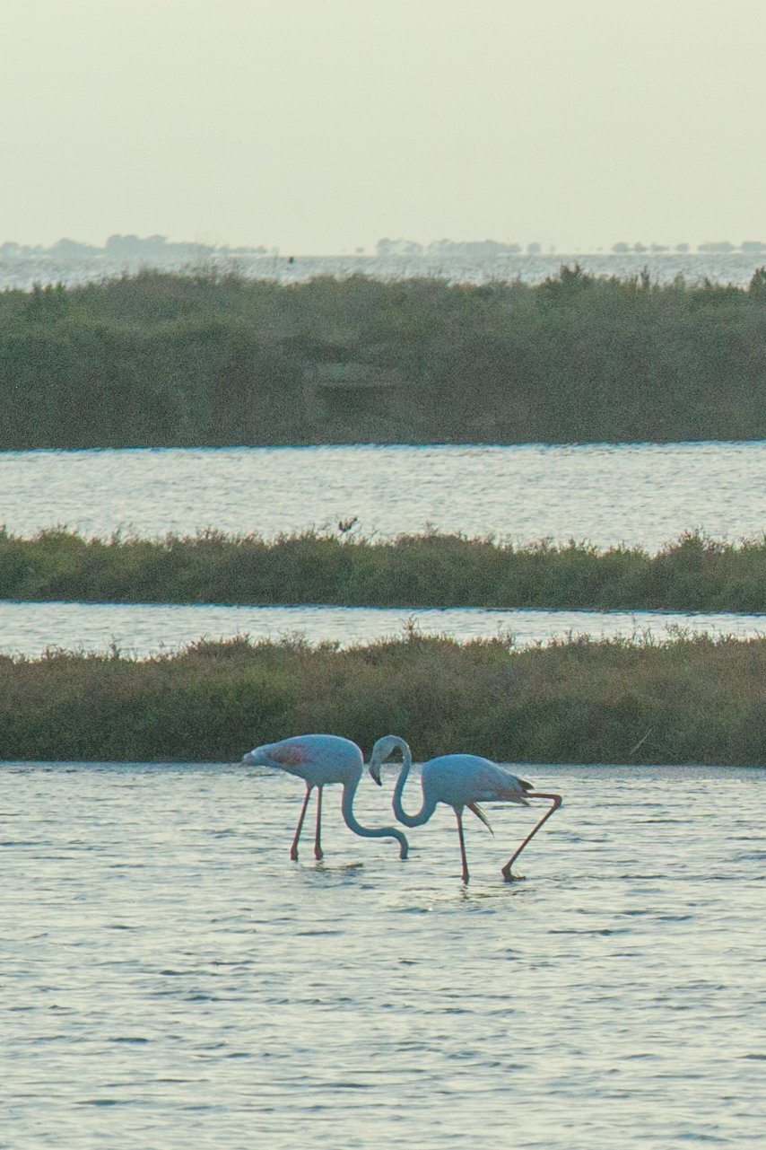 Image from 2025 IWWF Europe And Africa Championships Spain