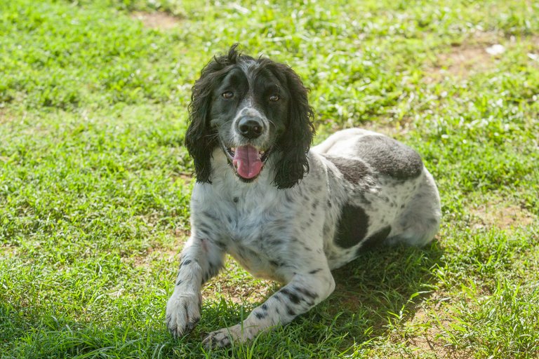 Image from 2025 IWWF Europe And Africa Championships Spain